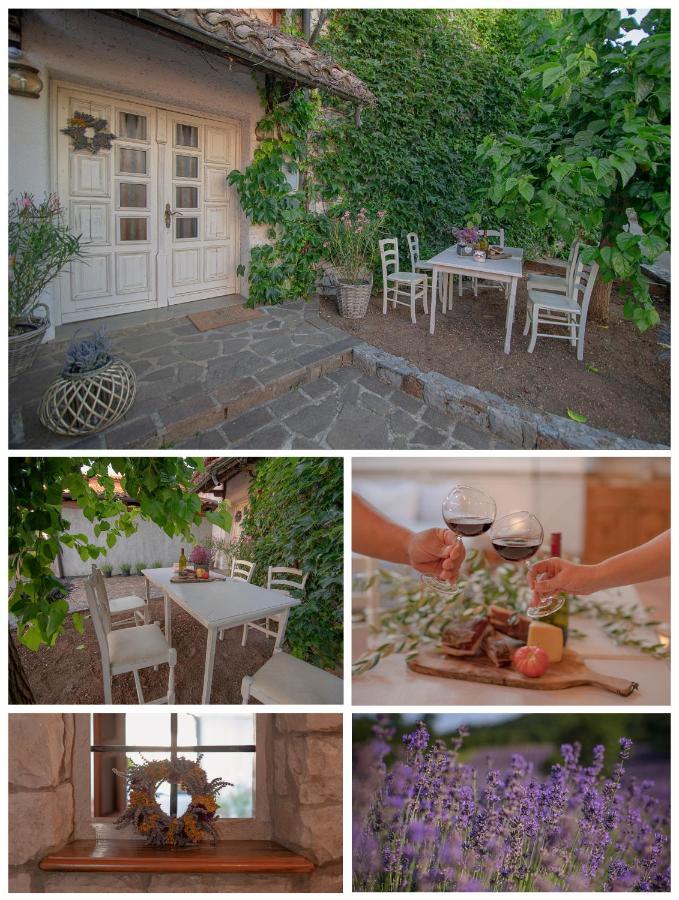 Apartment Ana - Karst Cycling Paradise Dutovlje Εξωτερικό φωτογραφία