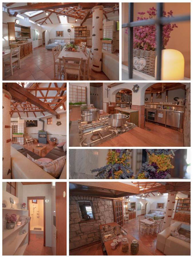 Apartment Ana - Karst Cycling Paradise Dutovlje Εξωτερικό φωτογραφία
