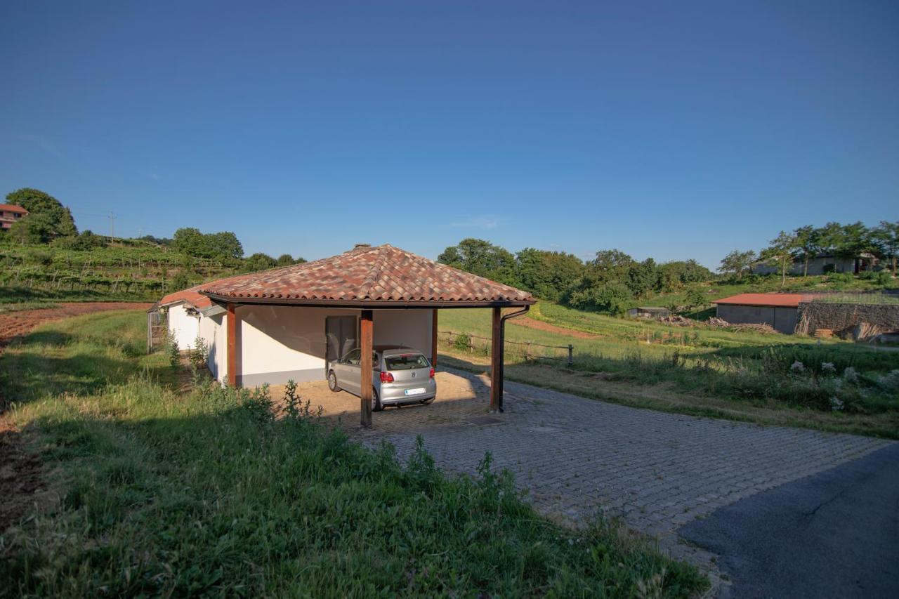 Apartment Ana - Karst Cycling Paradise Dutovlje Εξωτερικό φωτογραφία